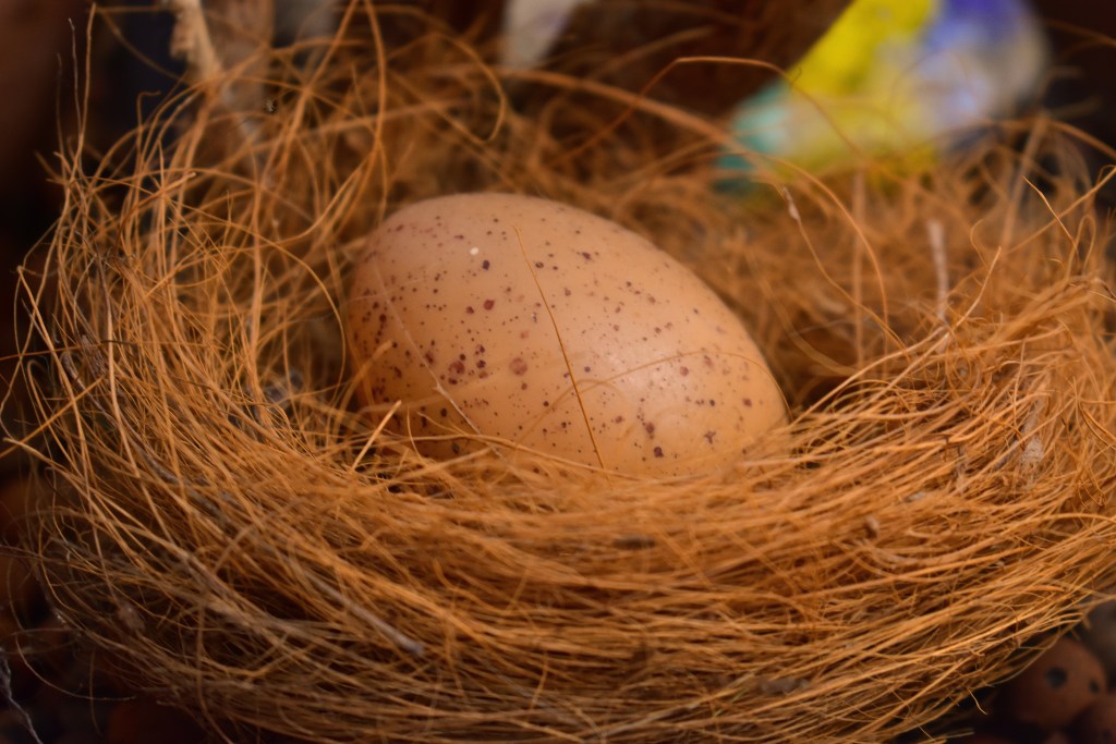 Ein braunes Ei liegt geschützt in einem Nest